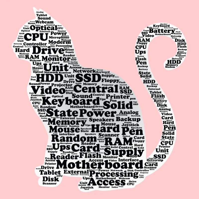Hardware Cat