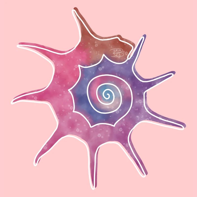 "Bolma", Boho Line Art Design, Serie "Shells"