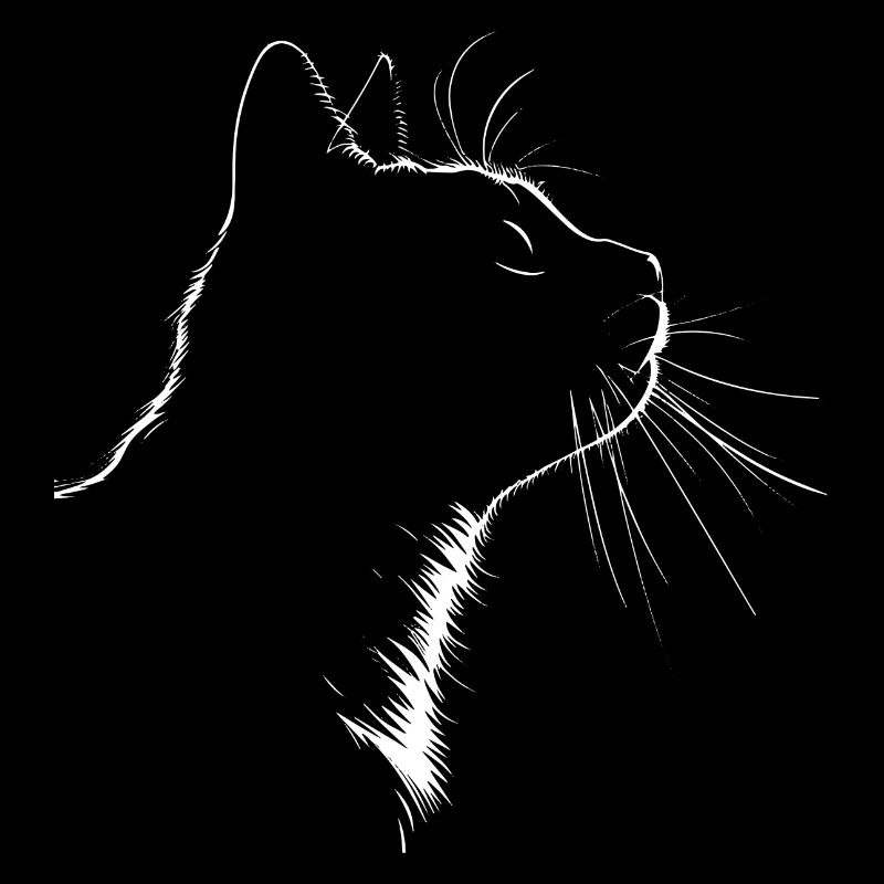 Chat, Motif De Chat