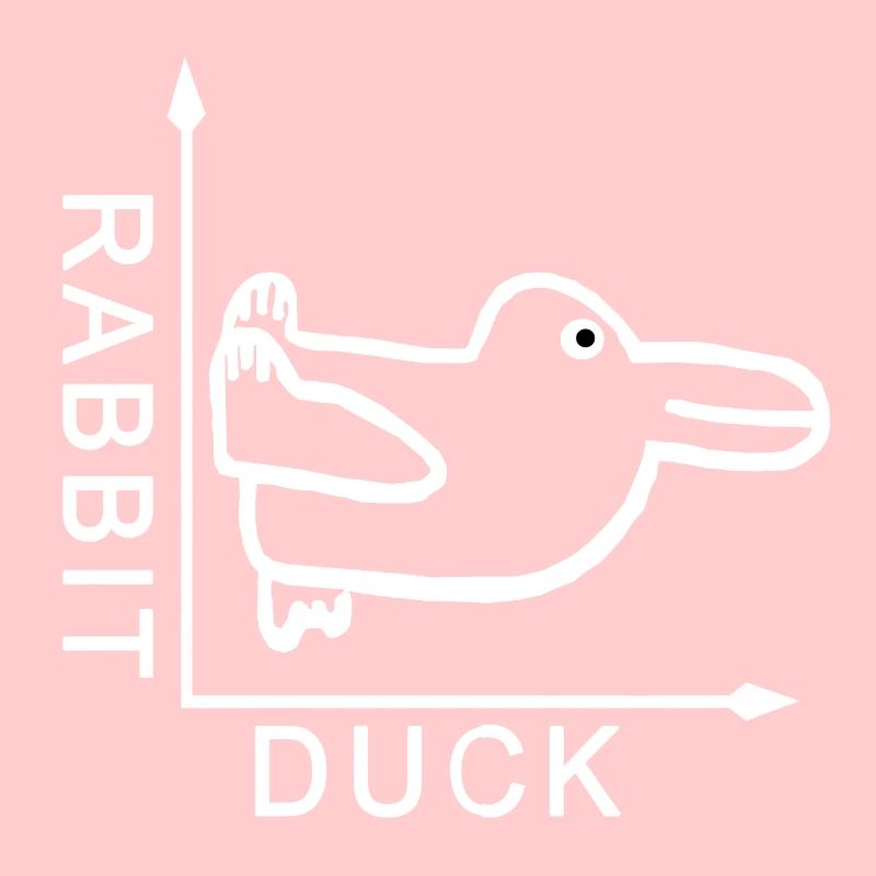 Rabbit duck duck bunny graph