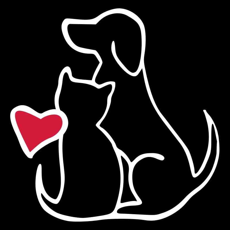 chien et chat s’aiment