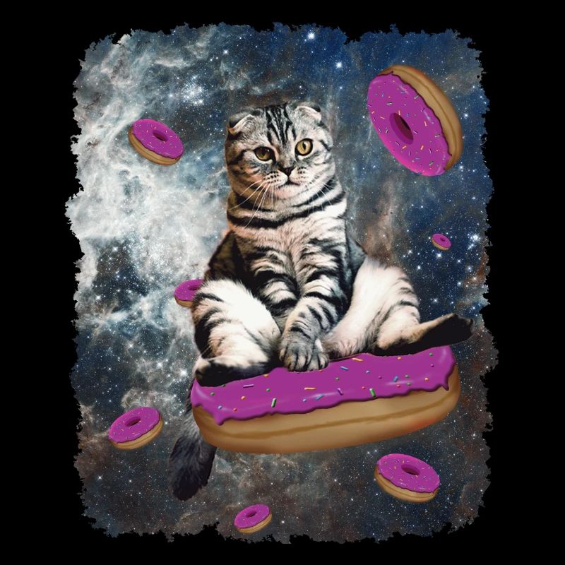 Chat de l'espace