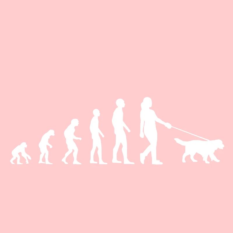 Evolution Dog