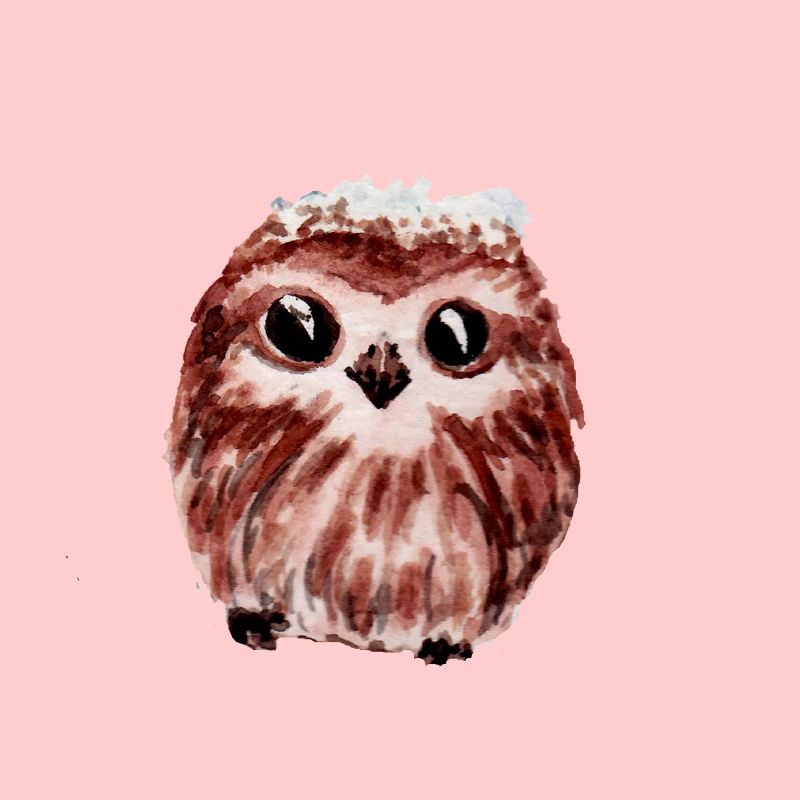 Baby Eule