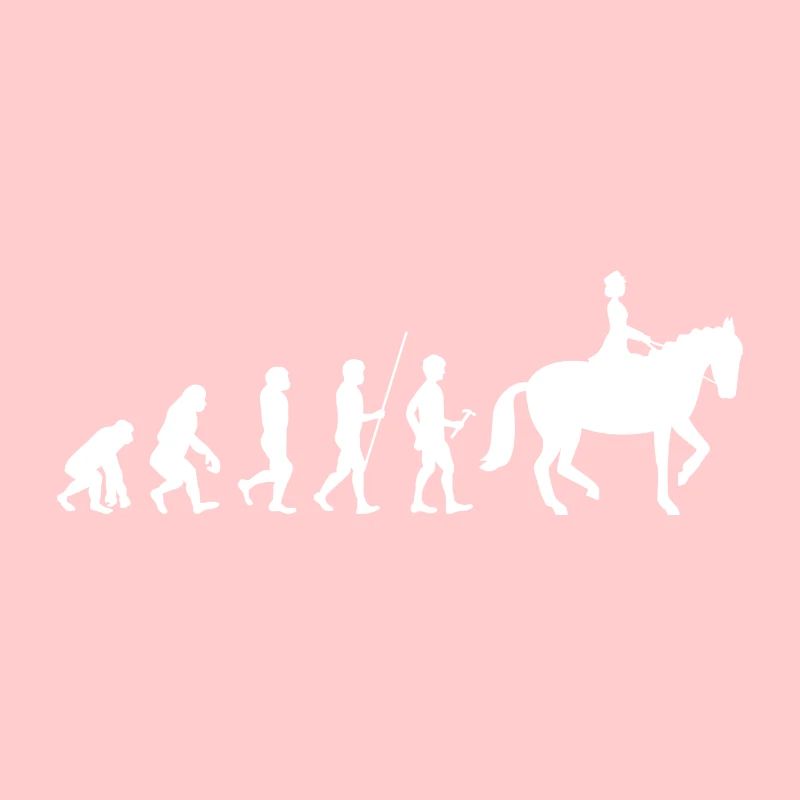 Cavalier Équestre Evolution Cadeau