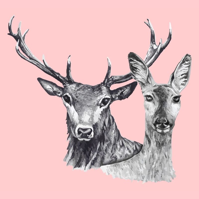 Hirsch und Reh