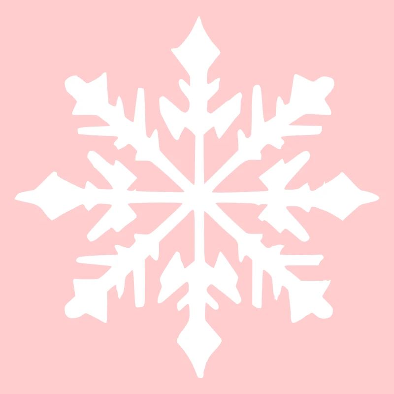 Snowflake Snow Winter Christmas Vector 9