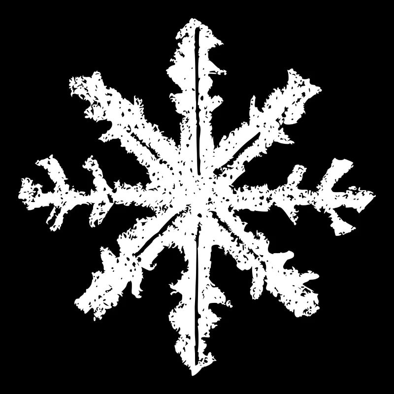 Snowflake Snow Winter Christmas Cold 11