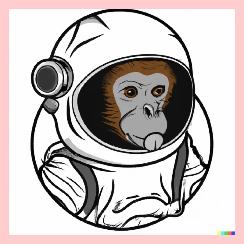 SPACE MONKEY