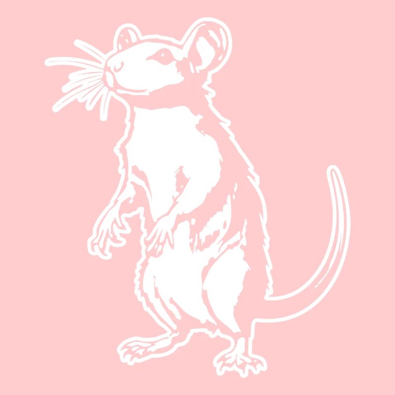 Rat, Mouse, Rodent, Rats