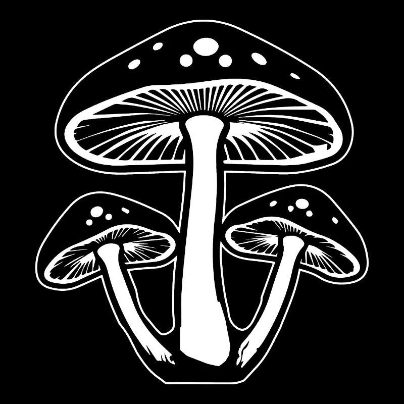Champignon Cueilleur de champignons Champignons Champignons
