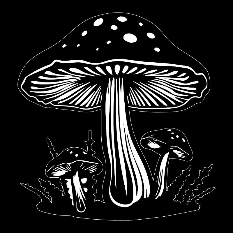 Champignon Cueilleur de champignons Champignons Champignons