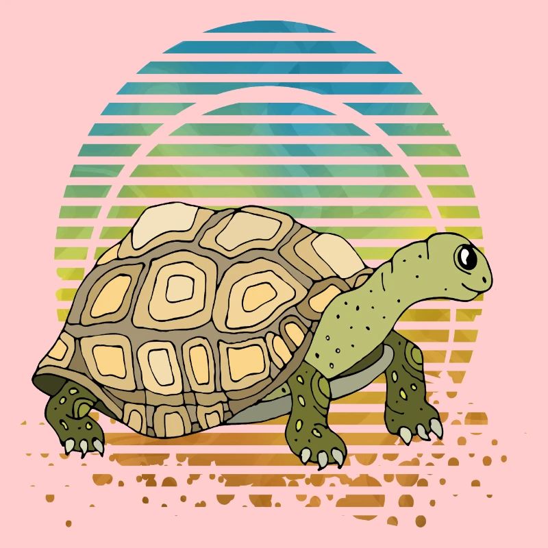 Tortoise