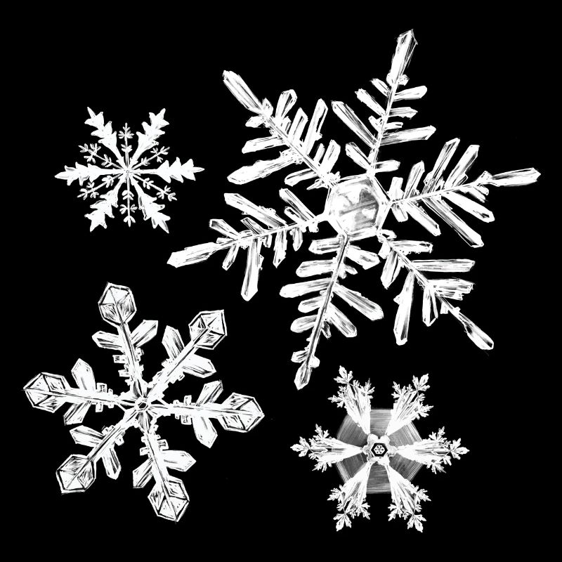 hiver