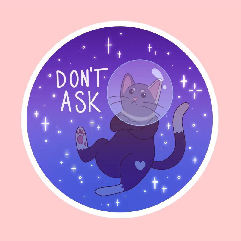 Kitty dans l’espace