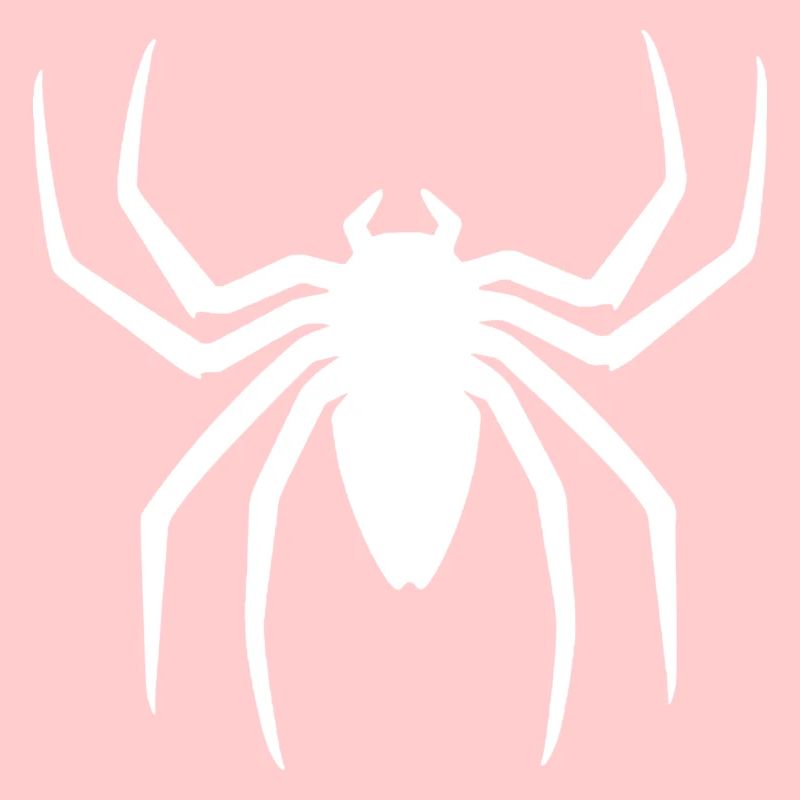 Tarantula tarentule arachnide Spider Spider