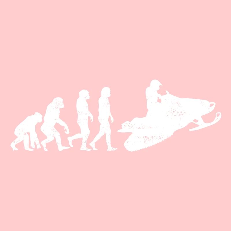 Schneemobil evolution geschenk schnee schlitten