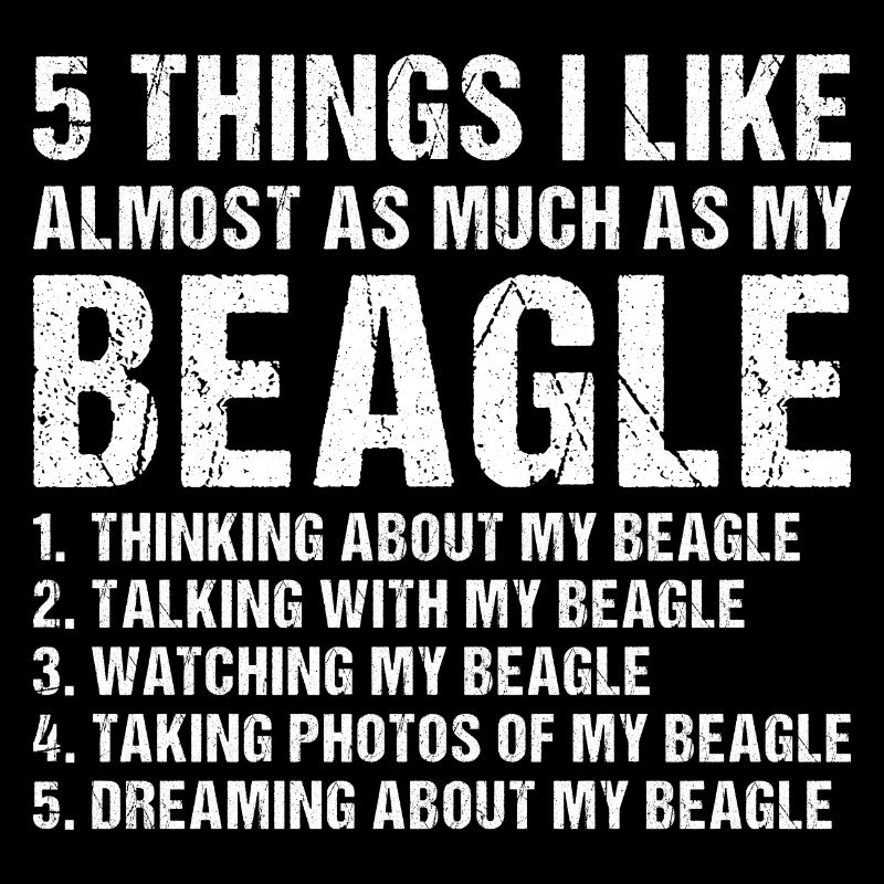 5 choses que j’aime autant que mon Beagle