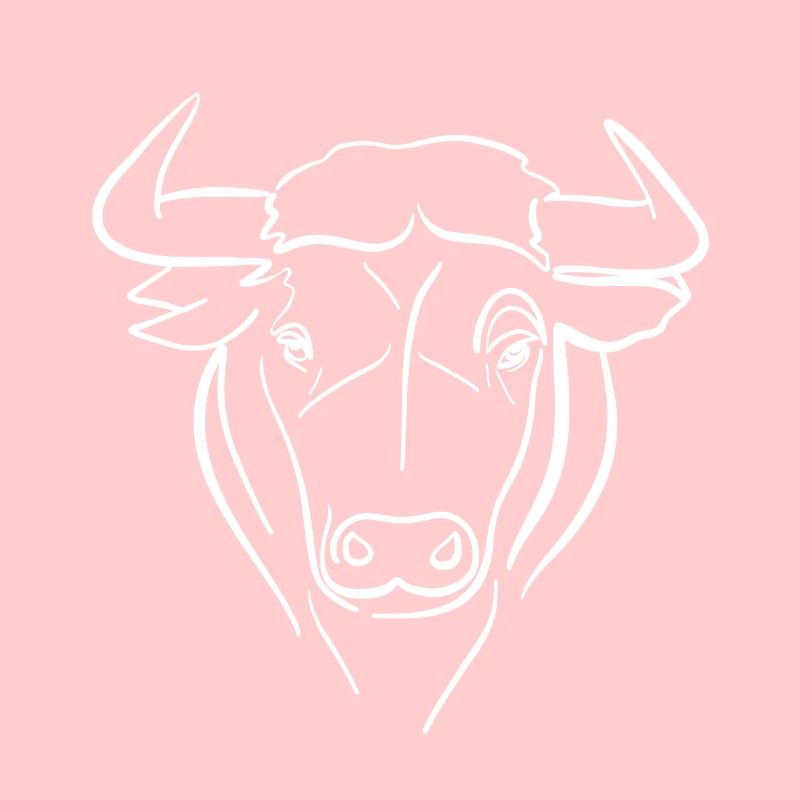 Dessin au trait de taureau sur blanc