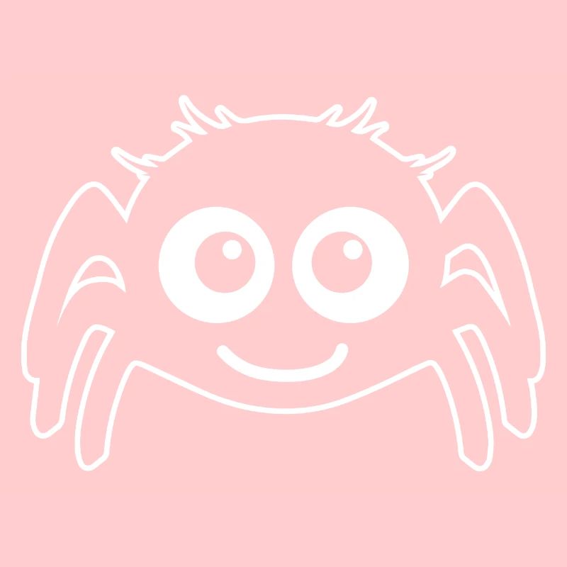 Spinne Spinnen Tiere