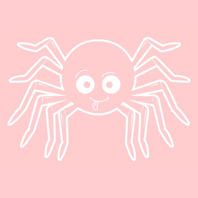 Spider spiders animals
