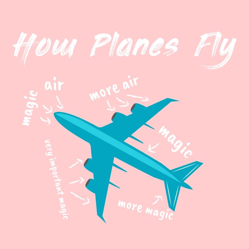 How Planes Fly Geschenk