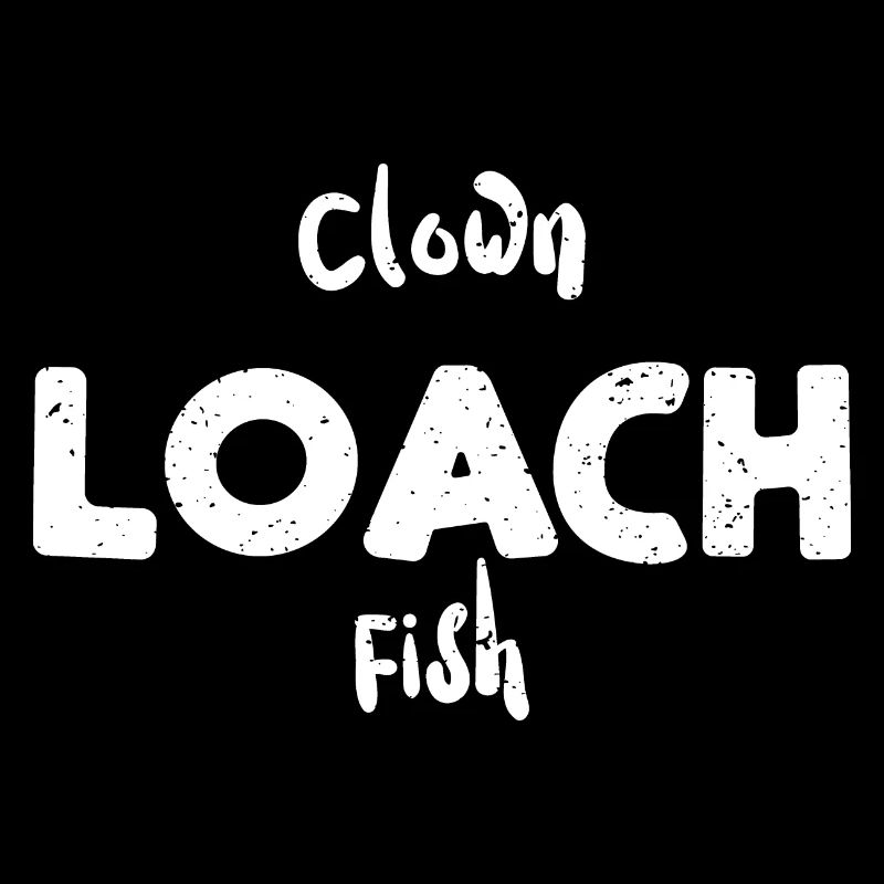 Clown Loach Fish - Fish