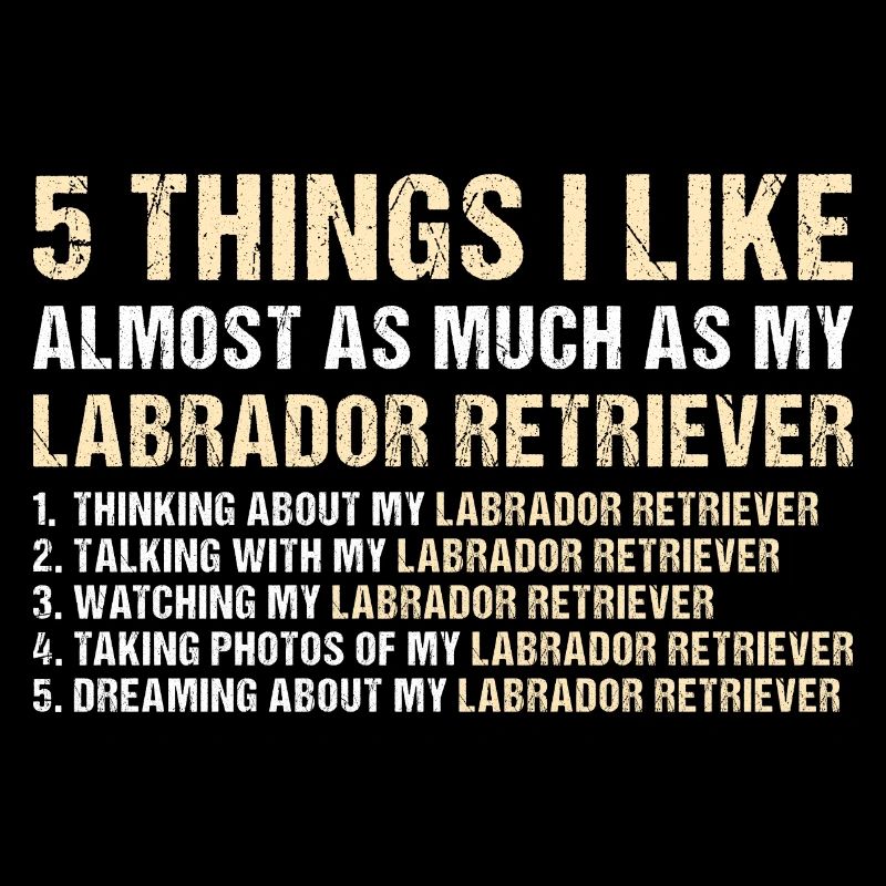 5 choses que j’aime autant que mon Labrador Retriever