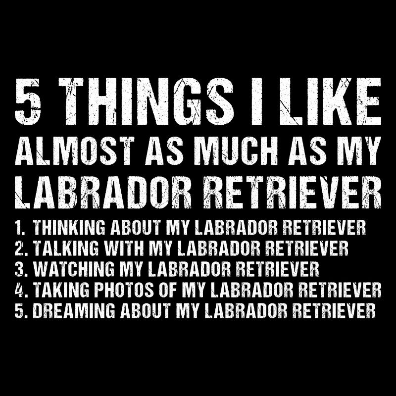 5 Things I Like As Much As My Labrador Retriever