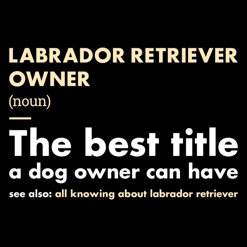 Labrador Retriever Owner Definition