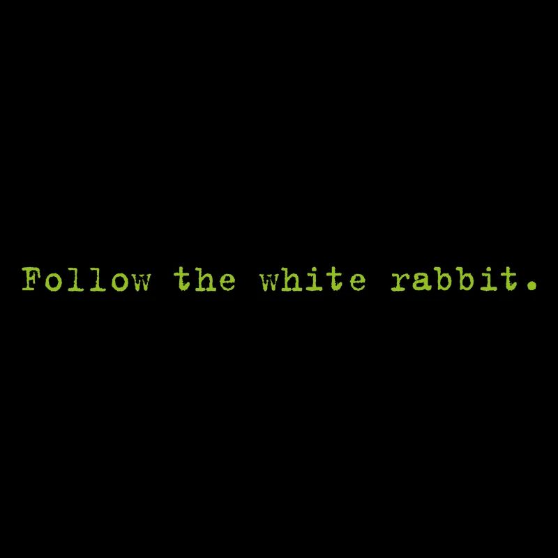 Follow the white rabbit Programming Informatik