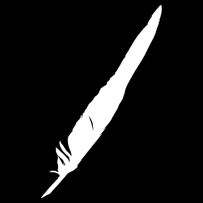 Raven Feather Wings