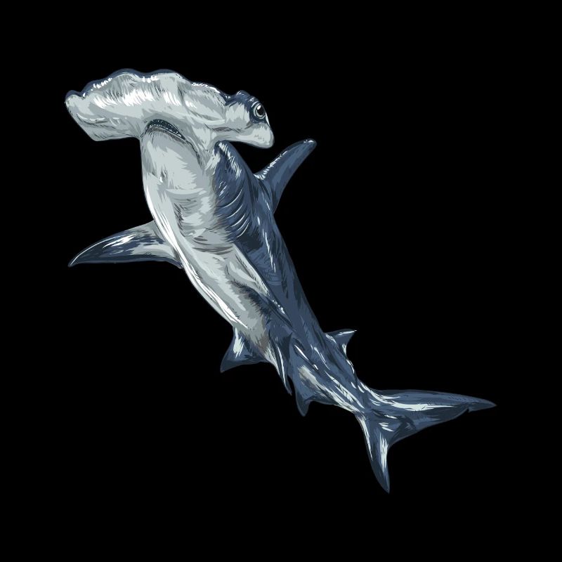 Requin, requin