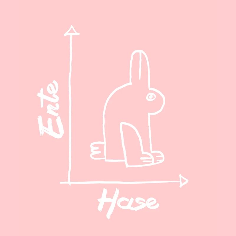 Math Duck Rabbit Mathematics Lessons Fun