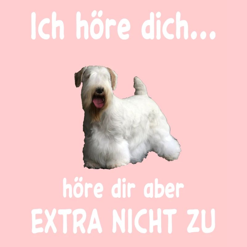 Sealyham Terrier Hund - Sealyham Terrier