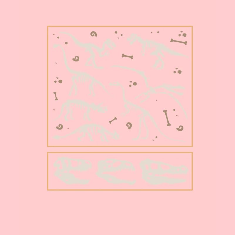 Paleontologist Dinosaurs Paleontology Bones