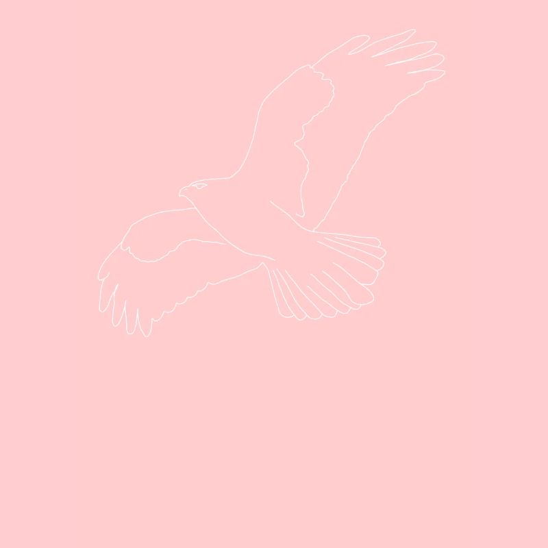 Buzzard