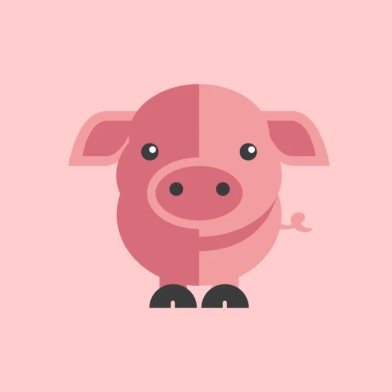 cochon