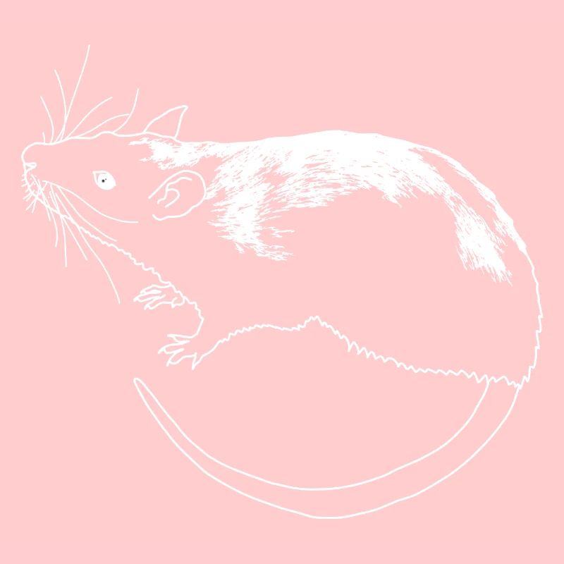Ratte lineart