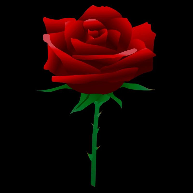 Rote Rose
