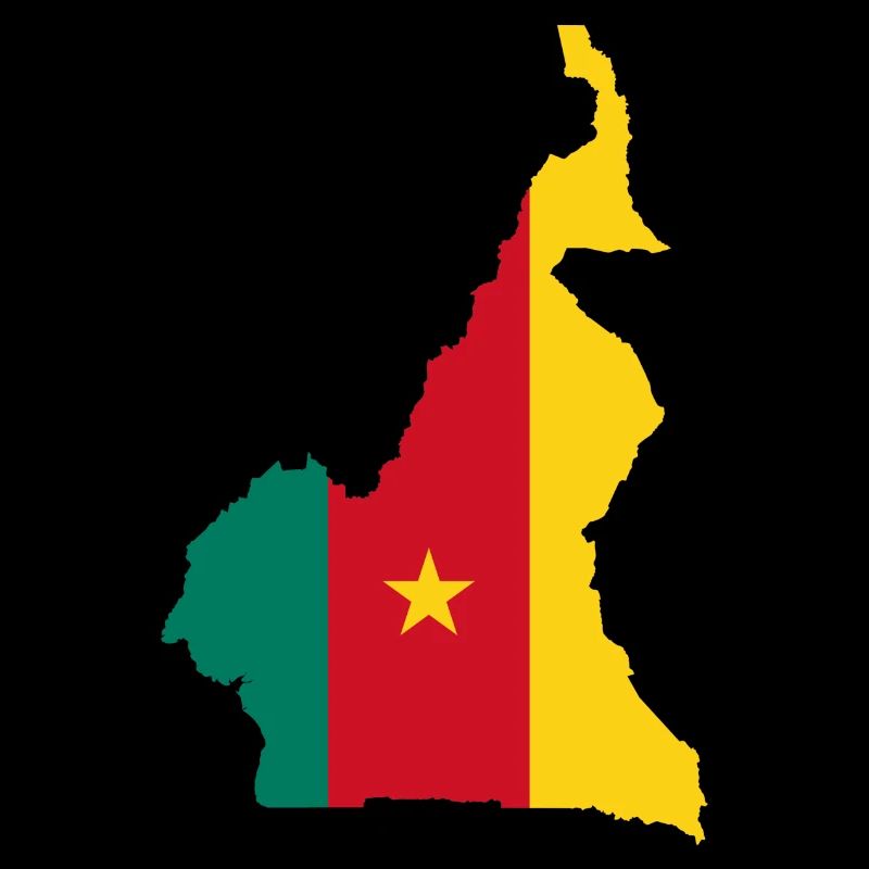 Cameroun carte drapeau drapeau