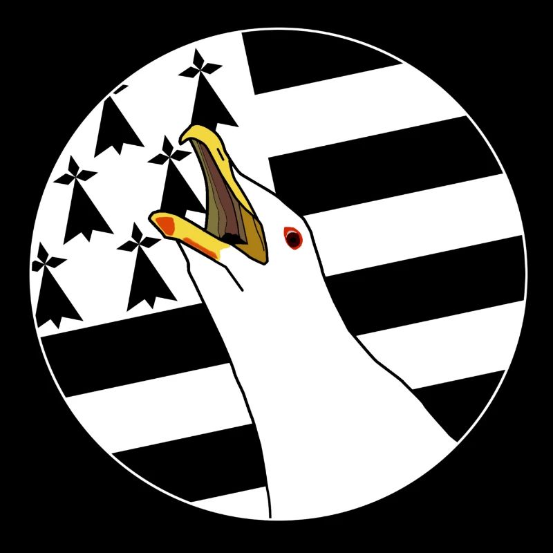 Armorican seagull