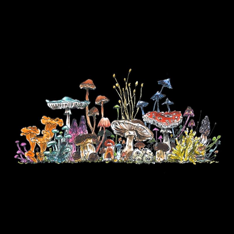 Pilz Group / Horde / Demo / Comic