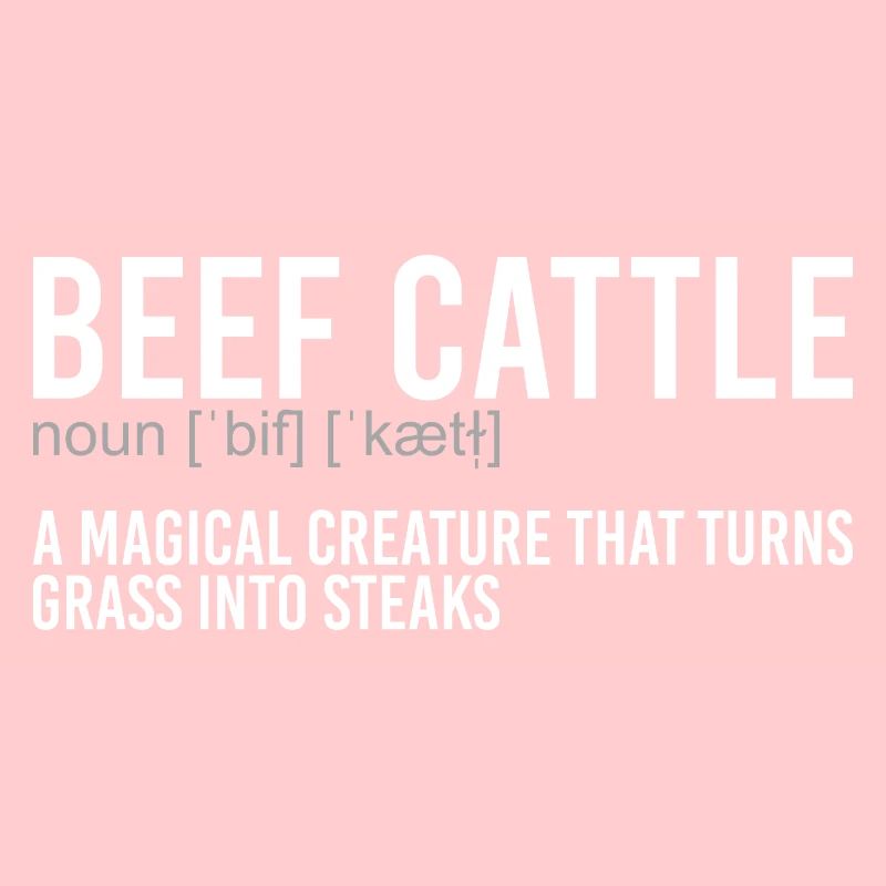 BBQ Beef Steak Definition T-Bone Steak