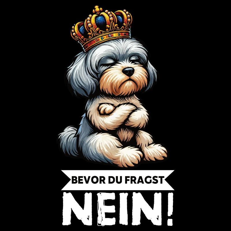 Before you ask No Havanese Havanese owners