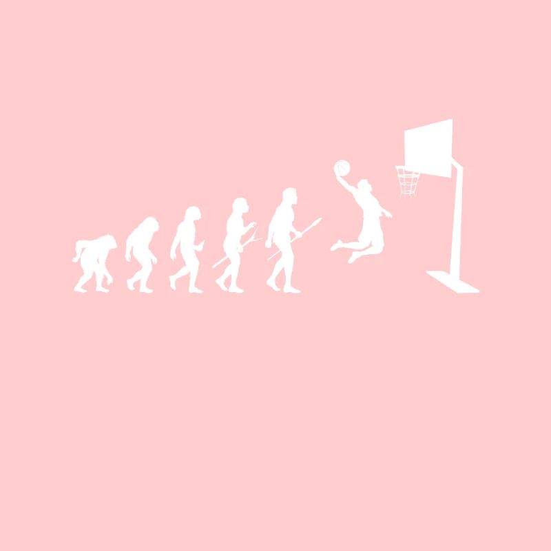 Évolution Basketball