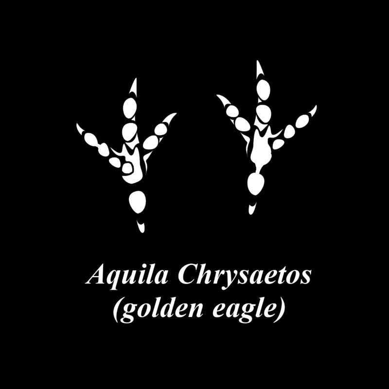 Adler