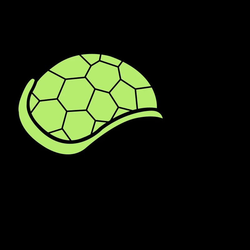 tortue