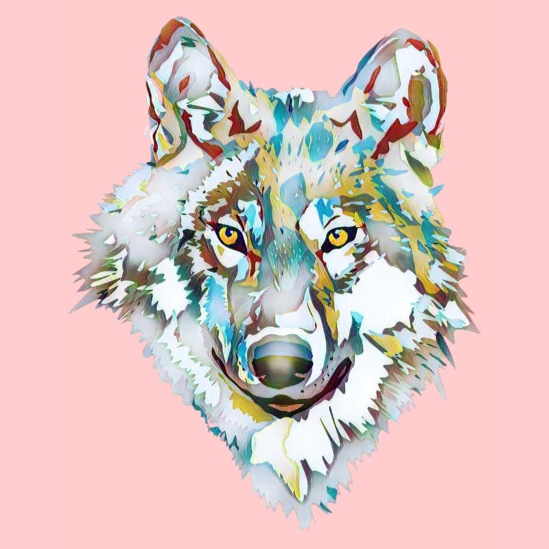 Crème glacée Dog Wolf