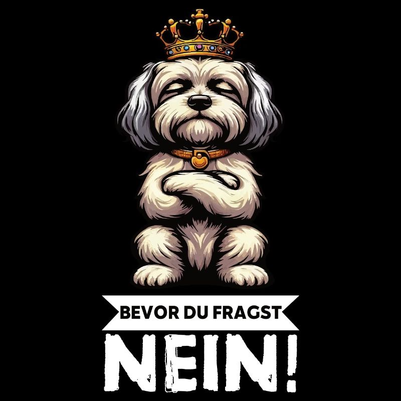 Before you ask No Havanese Havanese owners